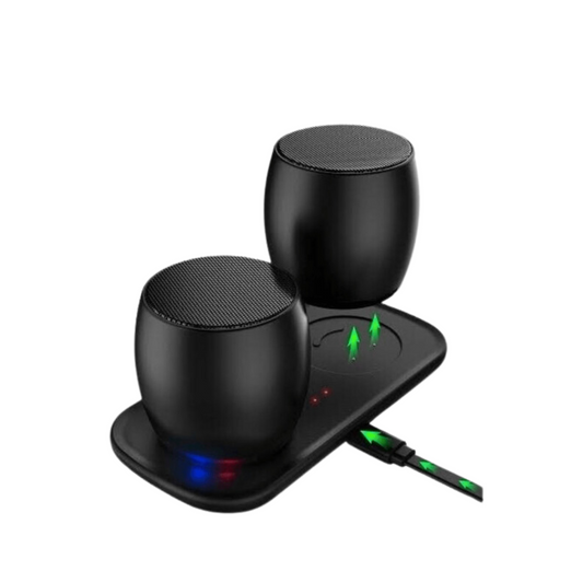 Mini Twin Speakers